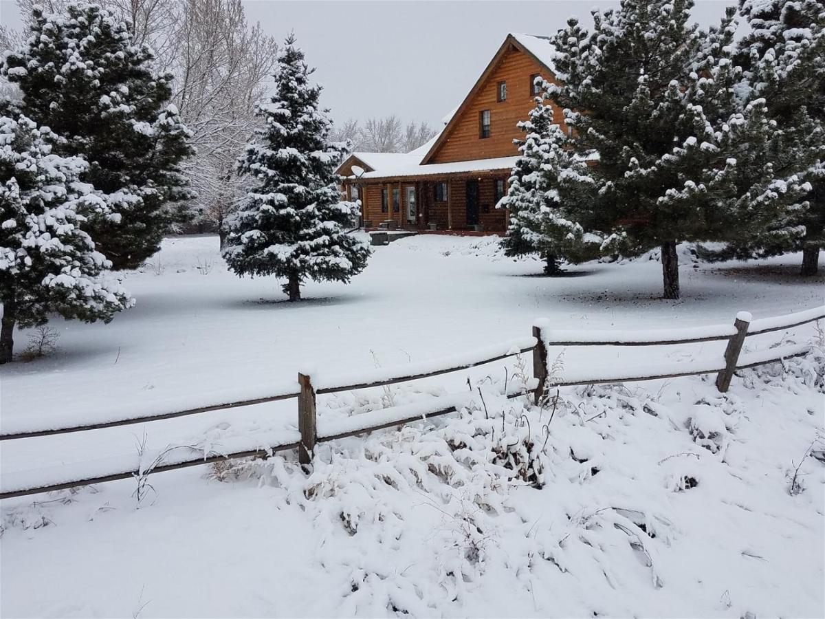 Quarter Horse Inn & Lodge Williams Bagian luar foto